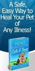 Home Remedies for Cats & Dogs - A Guide to Healing Your Pet The Natural Way!