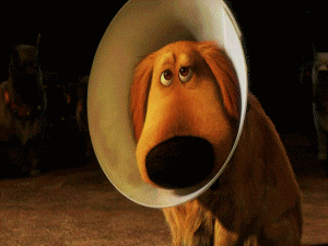 coneofshame_zpsfc1f350d.gif