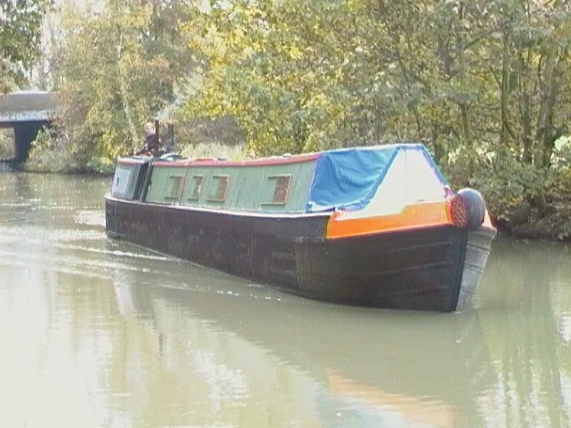 097.jpg