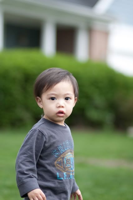 IMAGE: http://i849.photobucket.com/albums/ab53/baguado/85mm/IMG_9091.jpg