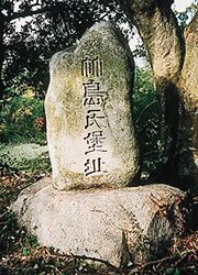 камень замка Такэсима