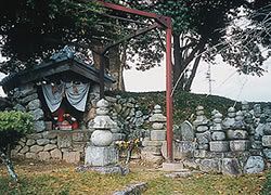 Гробницы ниндзя