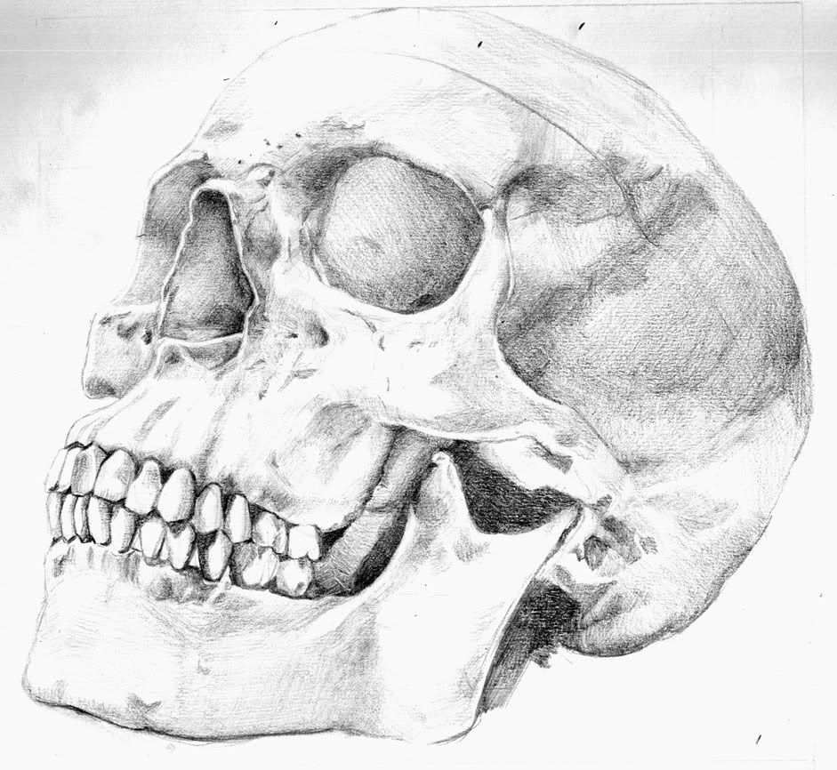 skull-1.jpg