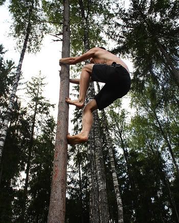  tree climbng again tree-climbing.jpg