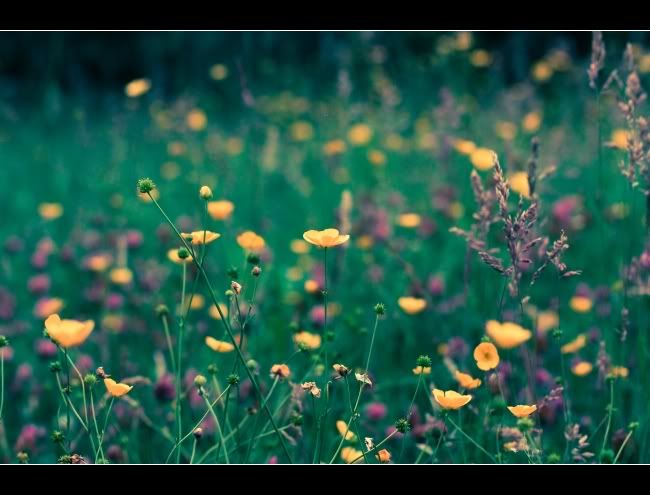 IMAGE: http://i849.photobucket.com/albums/ab58/MattPetley/IMG_3836.jpg