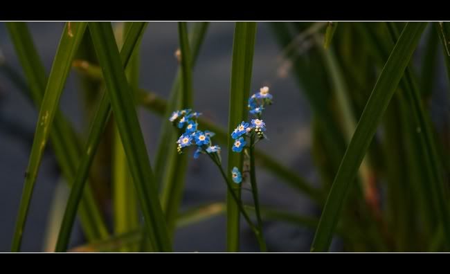 IMAGE: http://i849.photobucket.com/albums/ab58/MattPetley/IMG_3854.jpg