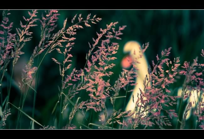 IMAGE: http://i849.photobucket.com/albums/ab58/MattPetley/IMG_3888.jpg