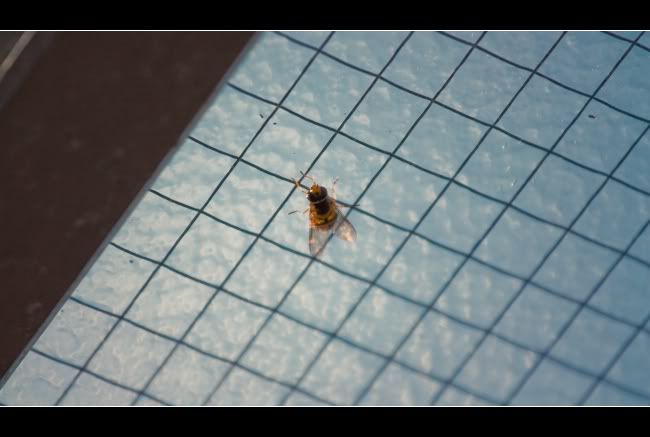 IMAGE: http://i849.photobucket.com/albums/ab58/MattPetley/IMG_4032.jpg