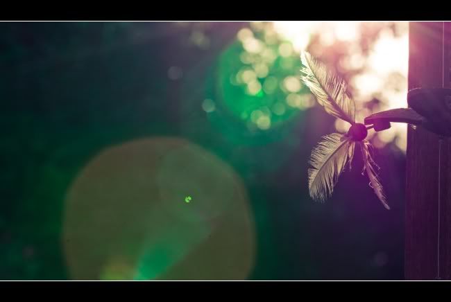 IMAGE: http://i849.photobucket.com/albums/ab58/MattPetley/IMG_4065.jpg