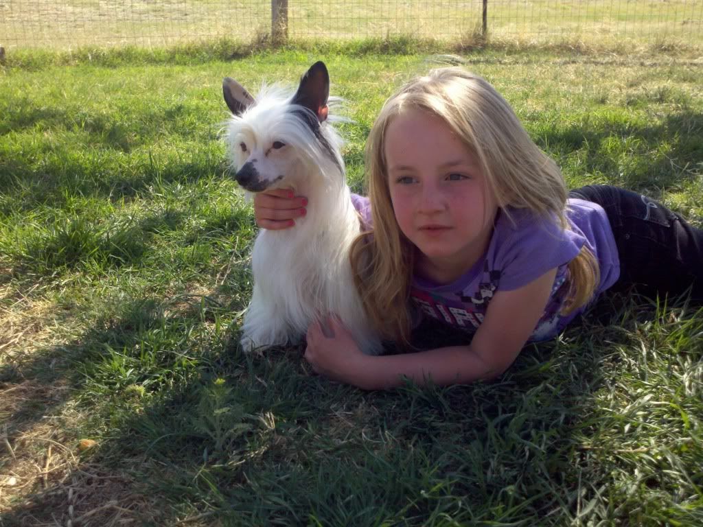 Jack Russel Terrier ?? - Goats