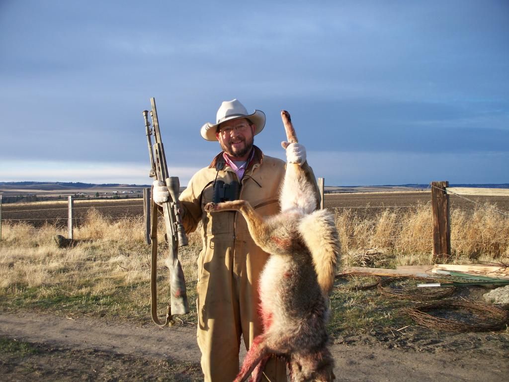 christmas2011coyote025.jpg