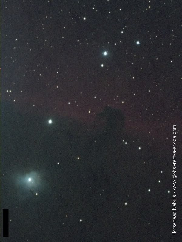 HorseheadNebula.jpg