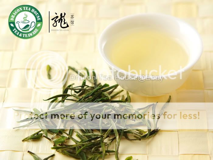 Premium Gu Zhu Zi Sun * Chinese Green Tea 50g 1.76oz  